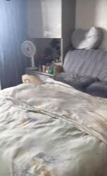Spottiswoode 18 (D2), Apartment #453262181